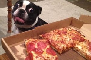 is pepperoni dangerous for dogs