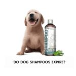 Do Dog Shampoos Expire?