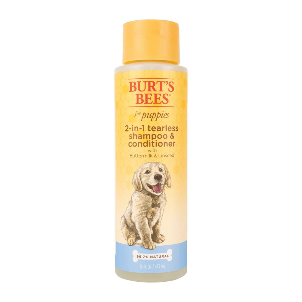 The 8 Best Smelling Dog Shampoos! (2024) We Love Doodles