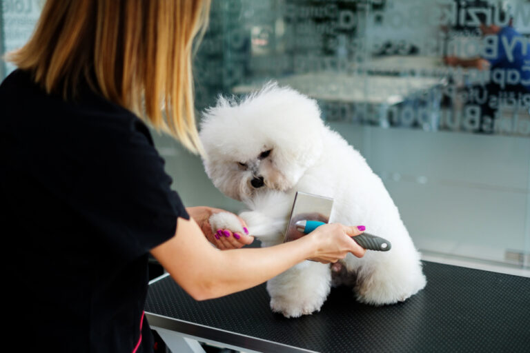 How do you groom with a slicker brush