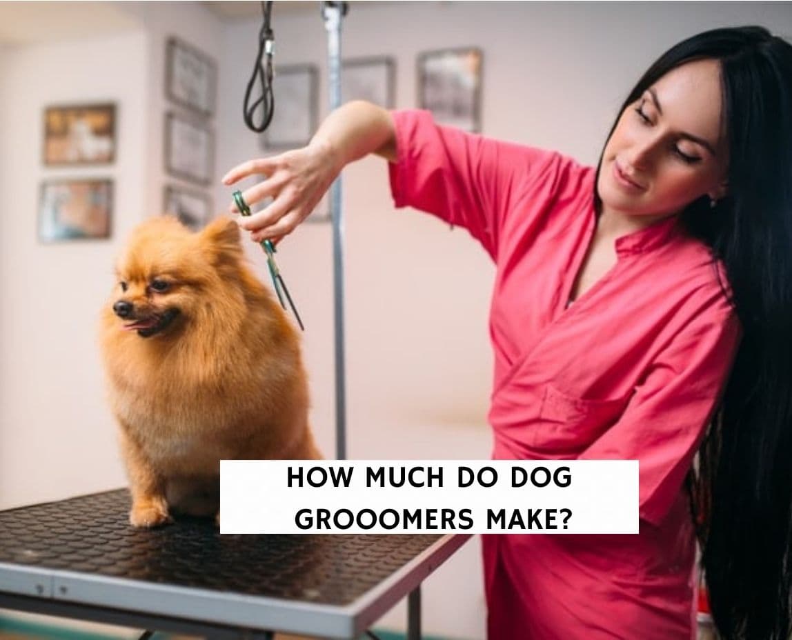 how much does a dog groomer earn a year