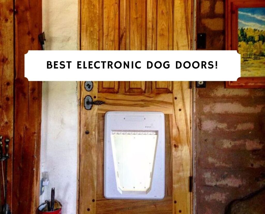 Best Electronic Dog Doors