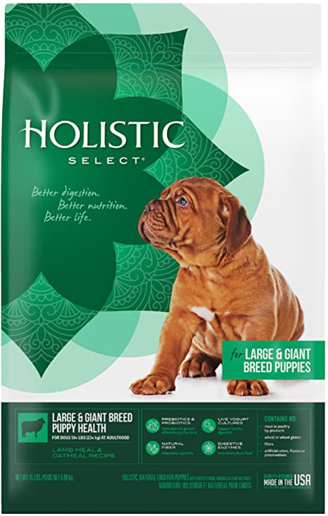6 Best Dog Foods for Mastiffs! - We Love Doodles