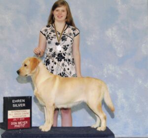 Piney Creek Labradors