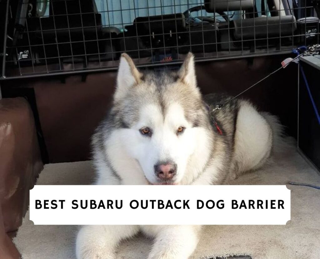 Outback pet outlet barrier