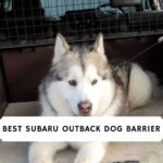 best Subaru outback dog barrier