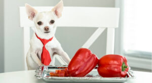 are poblano peppers bad for dogs