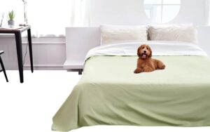 LINENSPA All Season Hypoallergenic Down Alternative Microfiber Comforter $59.99
