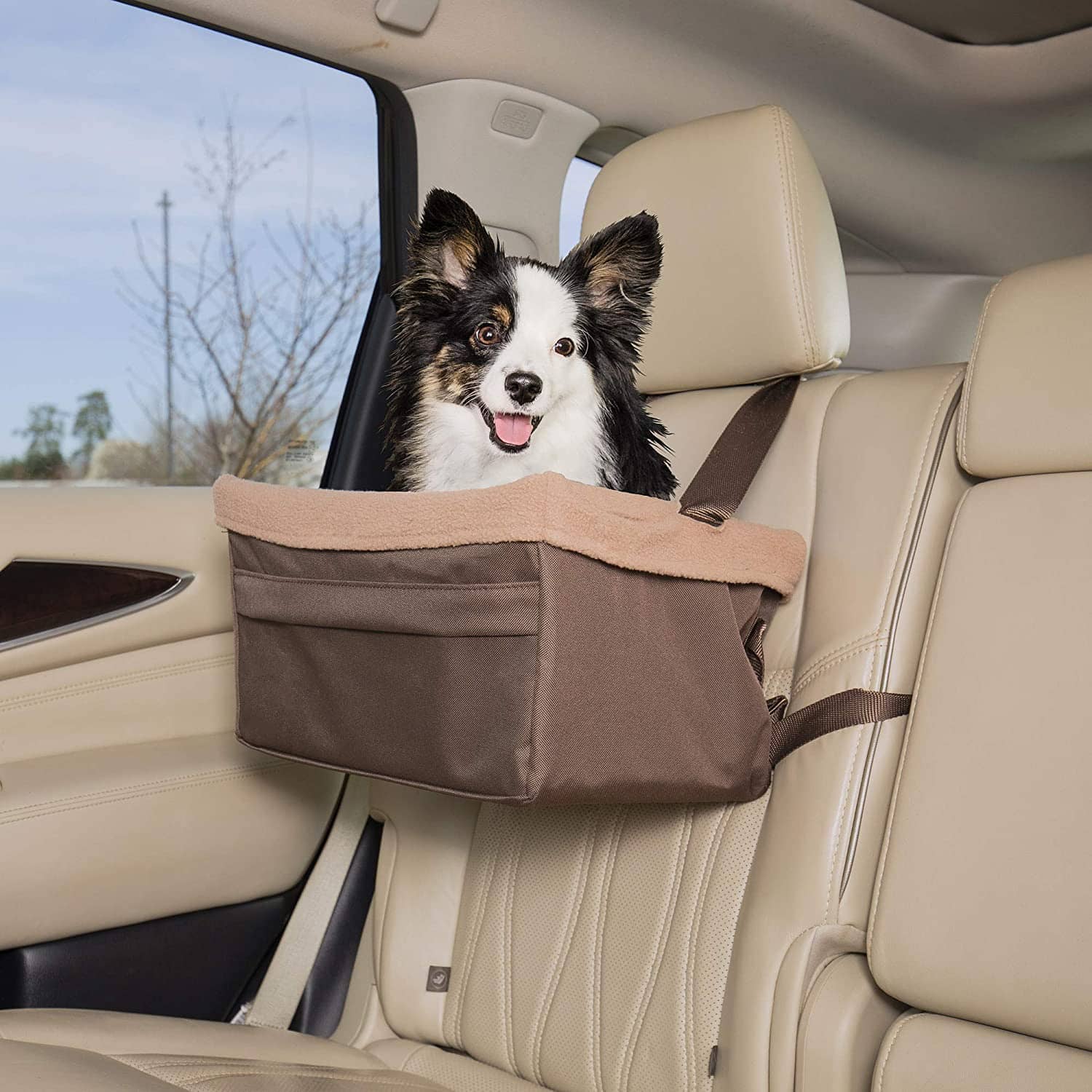 The 14 Best Dog Car Seats for Dachshunds! (2023) We Love Doodles