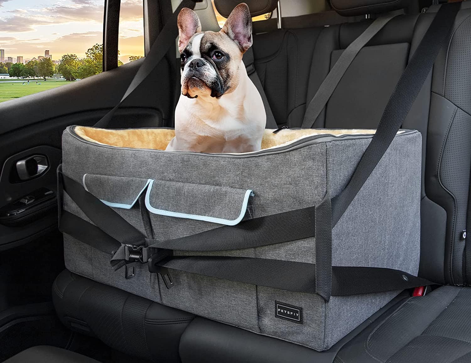 The 14 Best Dog Car Seats for Dachshunds! (2023) We Love Doodles