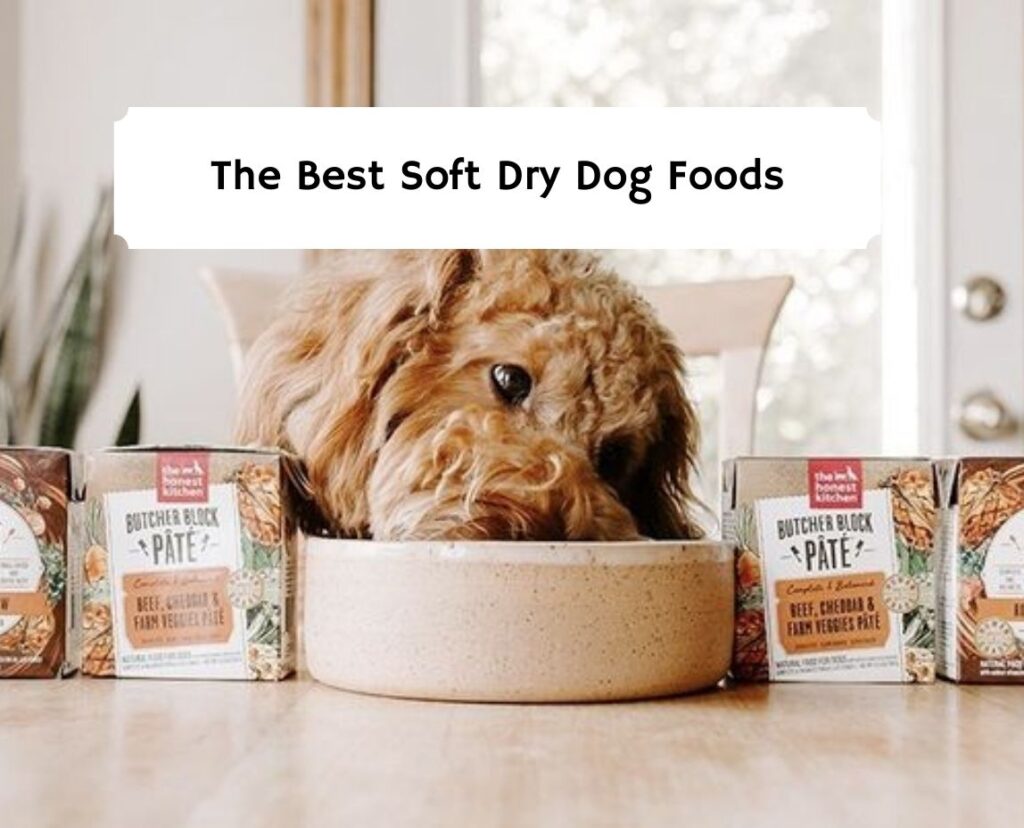 Healthy soft dry outlet dog food