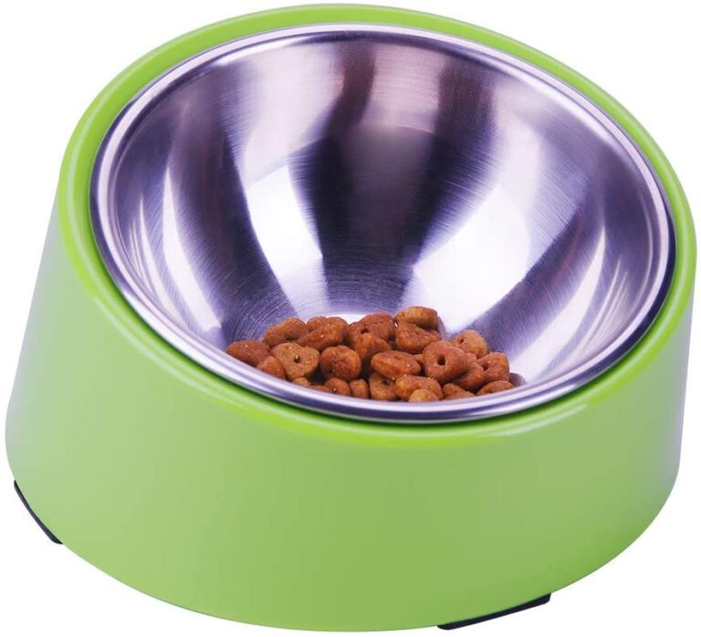 The 13 Best Dog Bowls for Goldendoodles!