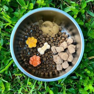 what is the softest dry dog food