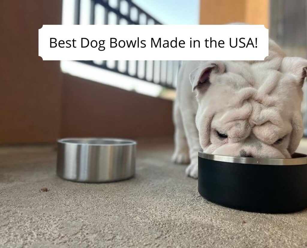 Made in the USA Pet Bowl Stand by Basis Pet – Basis Products