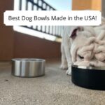Best Dog Bowls Made in the USA