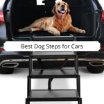 Best Dog Steps for Cars