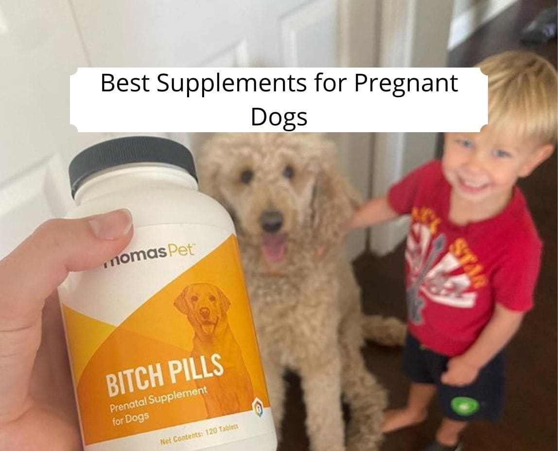 prenatal vitamins for dogs