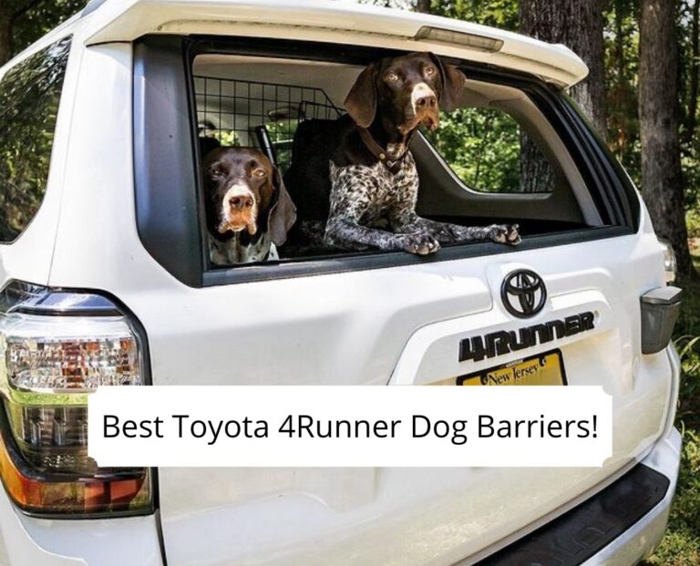 Best Toyota 4Runner Dog Barriers