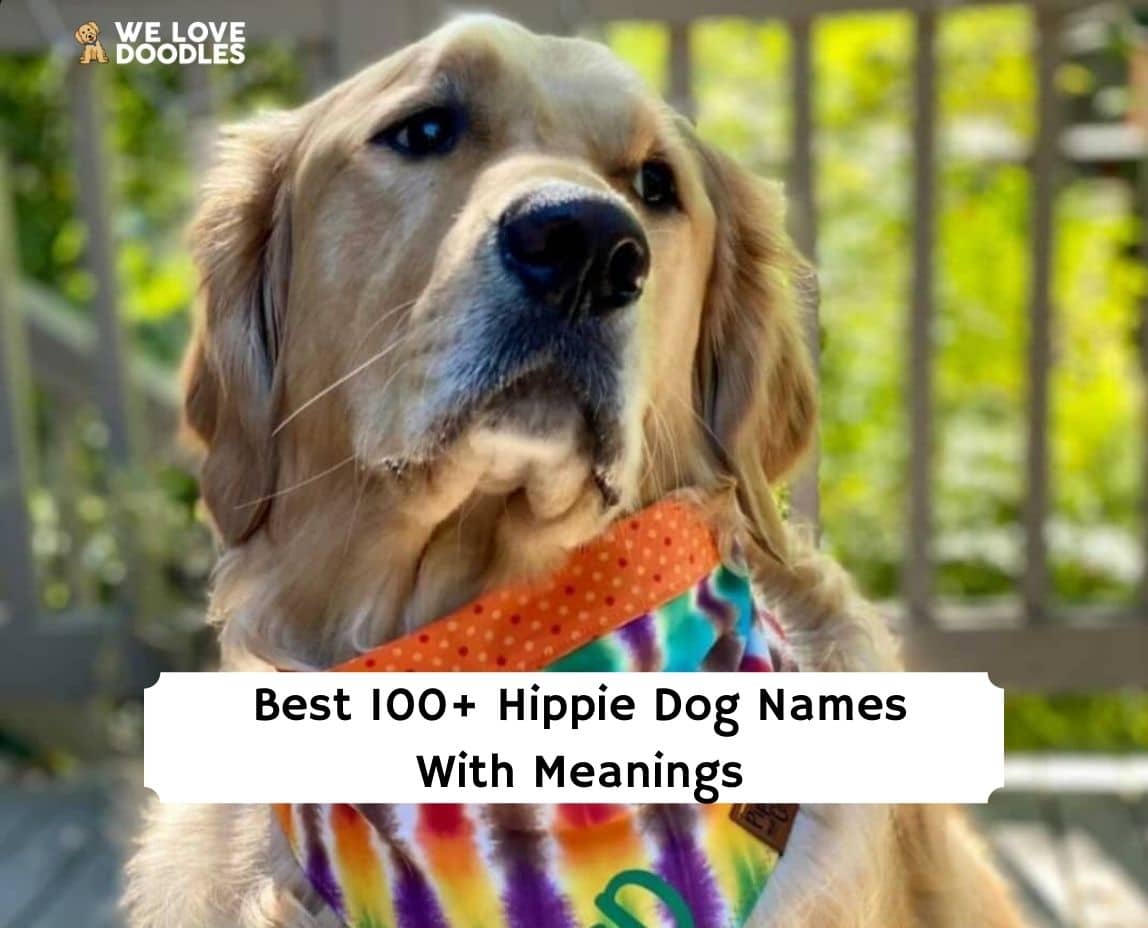 Stoner best sale dog names