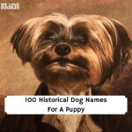 Historical Dog Names