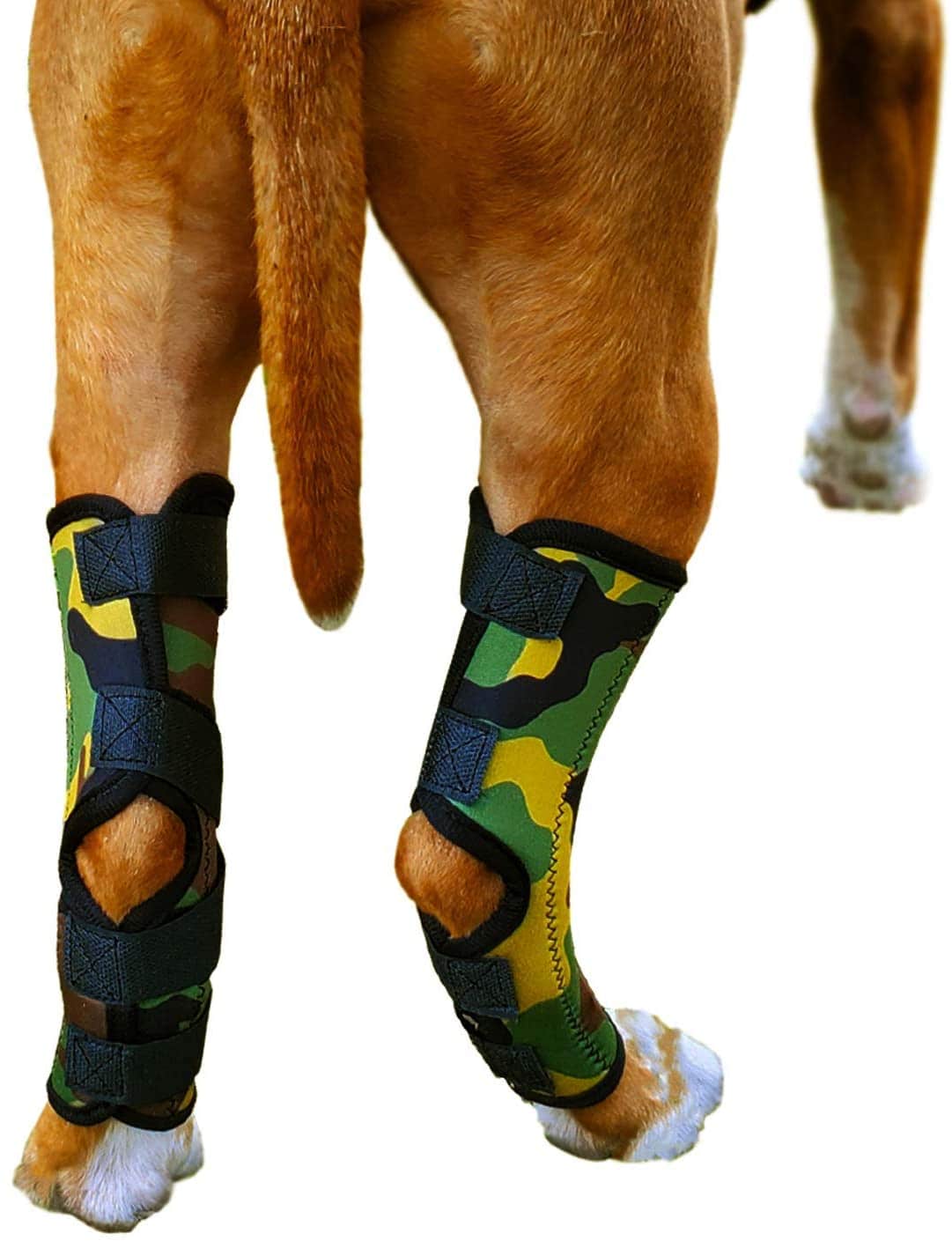 The 6 Best Dog Hock Joint Braces!