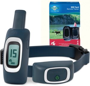 PetSafe Remote Training Collar Kit