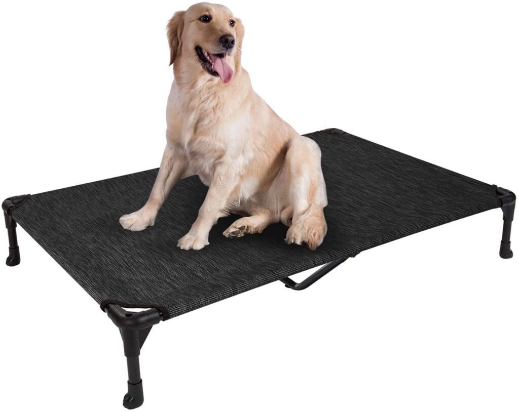 The 12 Best Odor Resistant Dog Beds in 2024! We Love Doodles