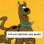 Top 100 Cartoon Dog Names