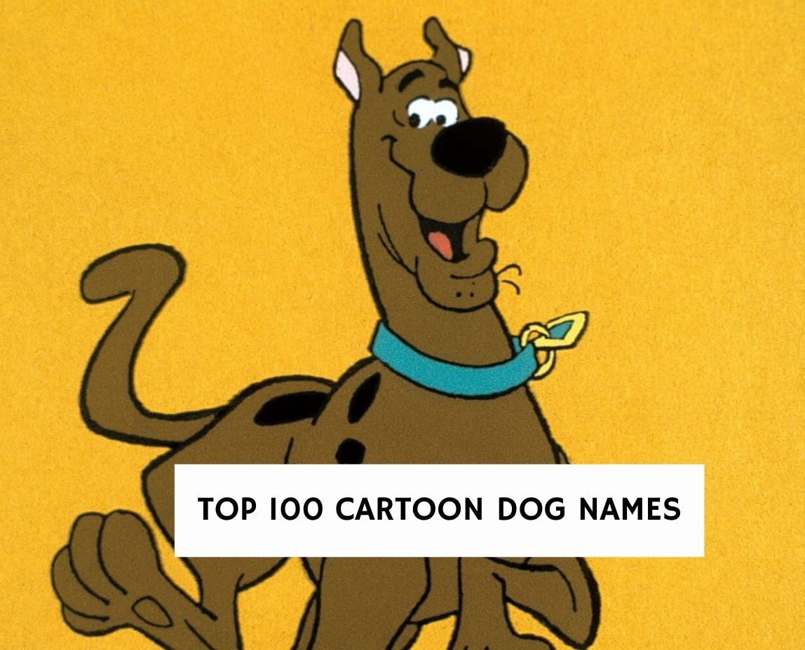 100 Best Cartoon Dog Names That Are Actually Good!