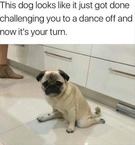 A Breakdancing Pug