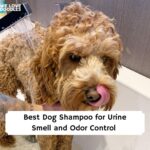 Best Dog Shampoo for Urine Smell and Odor Control
