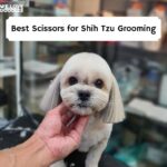 Best Scissors for Shih Tzu Grooming