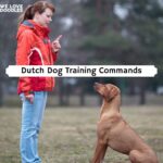 Dutch Dog training Commands
