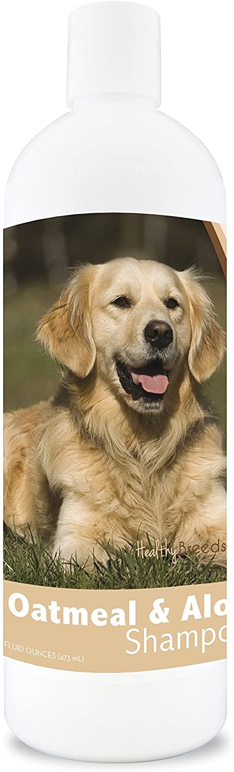 Picture of Best Shampoo for Golden Retrievers! (2023) - We Love Doodles