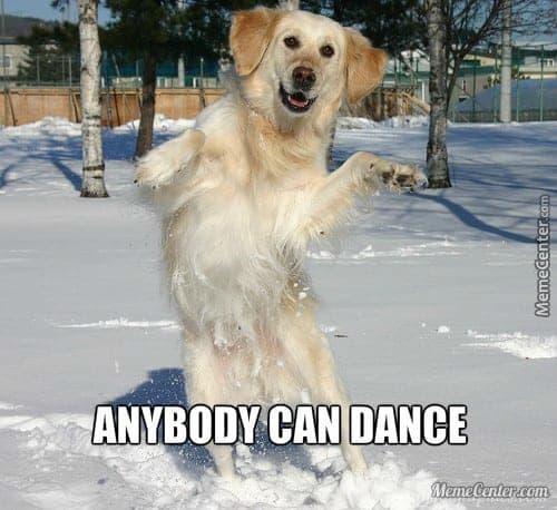 Labrador Dancing in the Snow