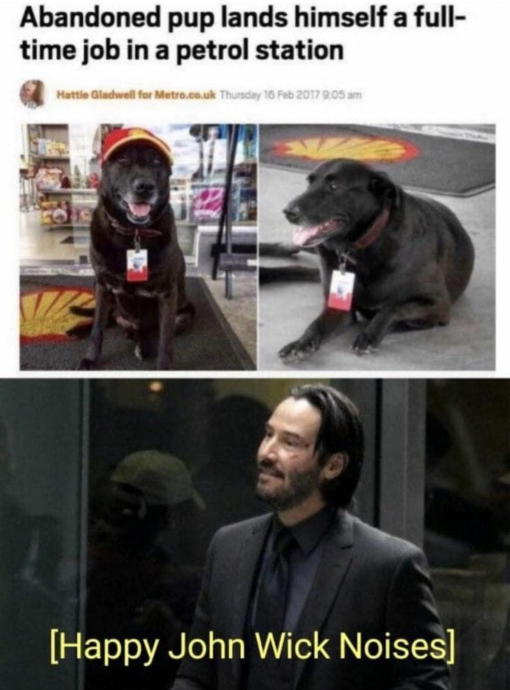 The 10 Funniest John Wick Dog Memes! (2024) - We Love Doodles