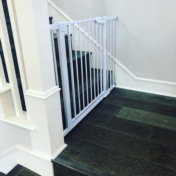 The 8 Best Dog Crate Alternatives!