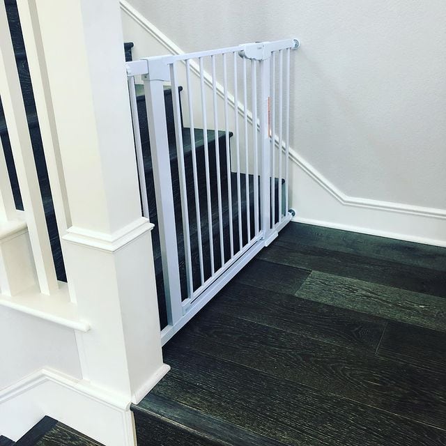 The 8 Best Dog Crate Alternatives!