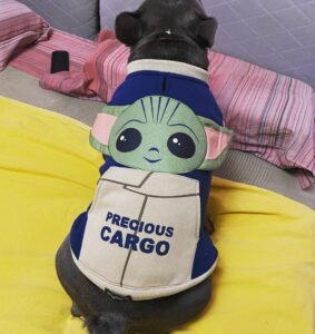 best star wars dog names