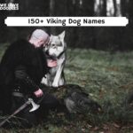 viking pet names
