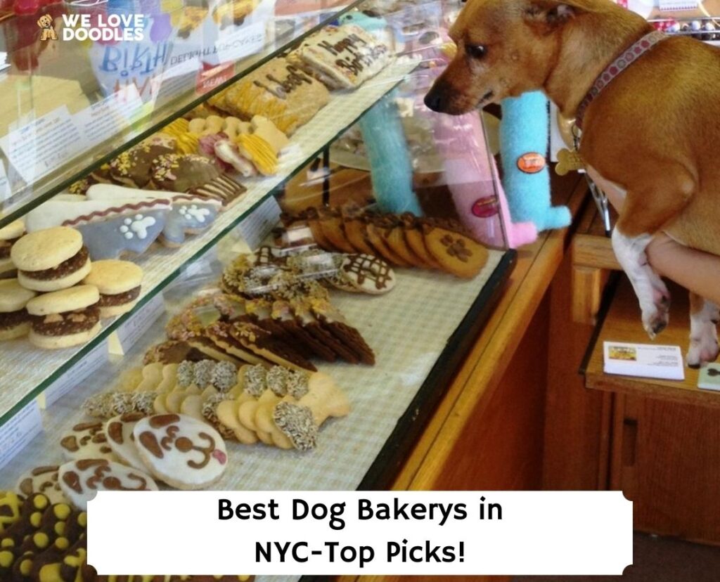 Dog bakeries deals near me