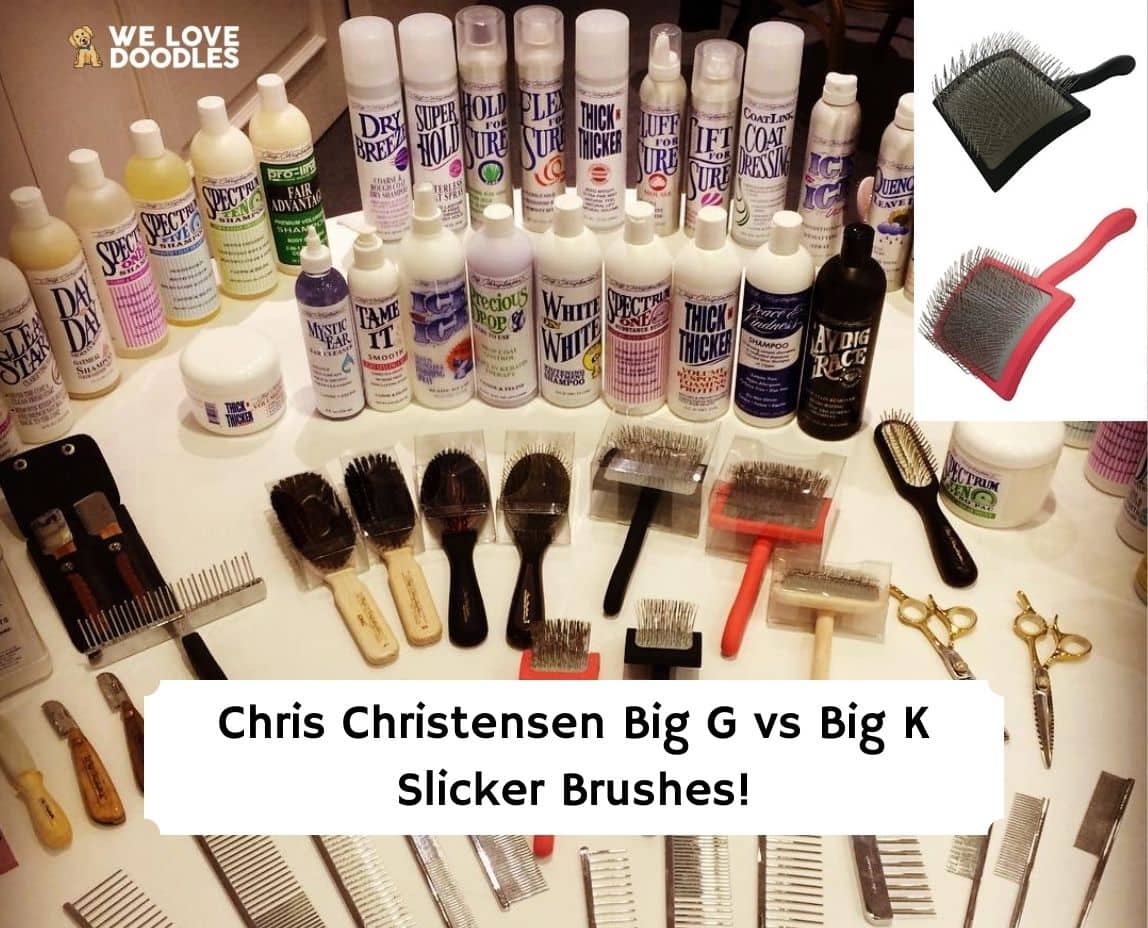 Cardatore per cani Big G Coral Slicker Brush Chris Christensen