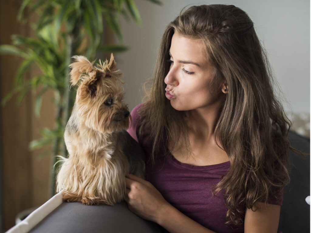 104 Cute Comments for Dogs! - We Love Doodles