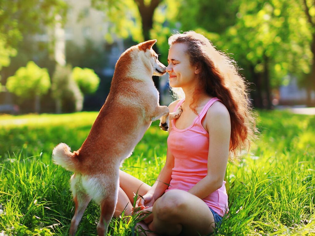 104 Cute Comments for Dogs! - We Love Doodles