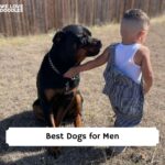 Cool Dog Breeds for Men