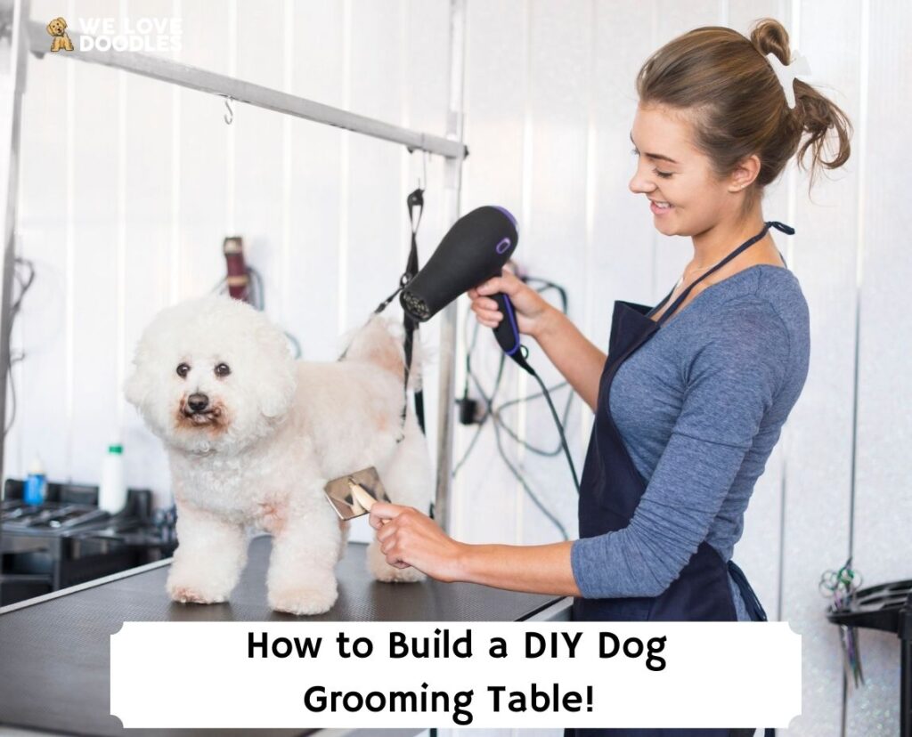 How-to-Build-a-DIY-Dog-Grooming-Table-template