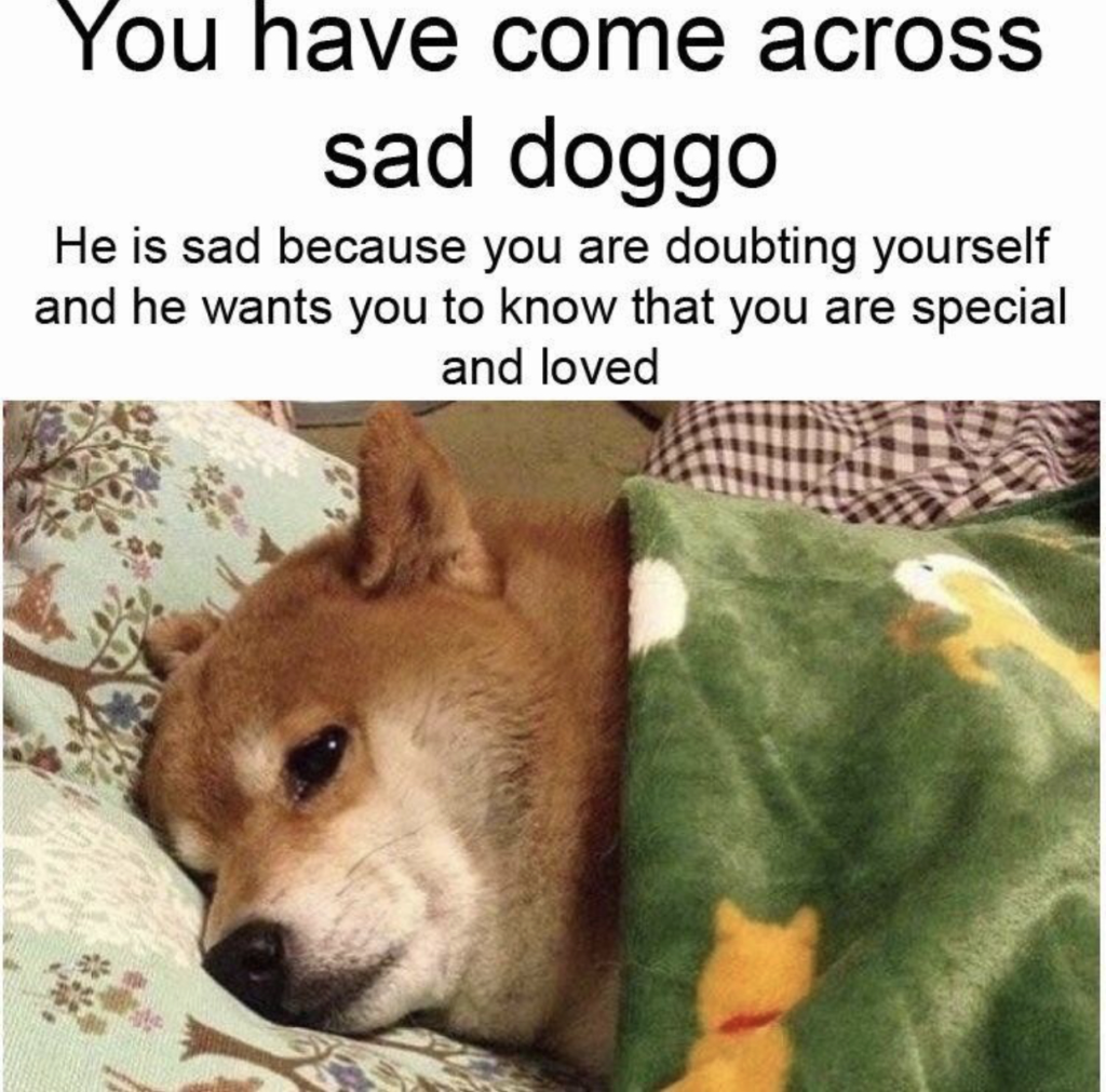 cute sad puppy meme