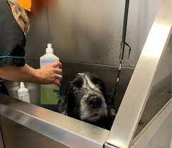 The Animal House Rescue Centre (WM)