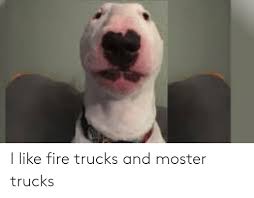 Walter the Dog Fire Trucks and Monster Trucks Meme