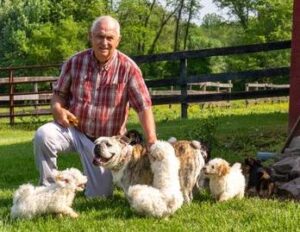 Windsor Oak Farm 